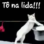 Tô na lida!!!