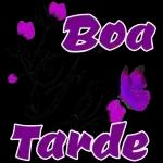 novo pacote KBM