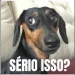 SE É LOUCO, NUM COMPENSA