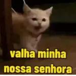 Porque?