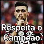 Flamengo Campeão 🏆