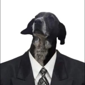PxU4SK