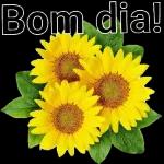 Bom dia
