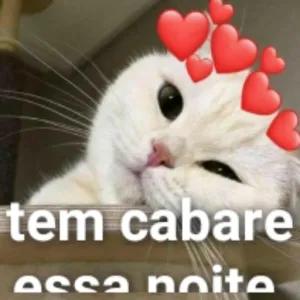 JQqLaR