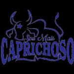 Boi Caprichoso