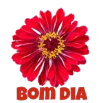 Parabéns 