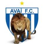 Copa América （br）