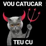 safadeza 