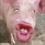 478 20 98 Quando alguém fala que tem uma fofoca pra me contar, mas sÓ depois..