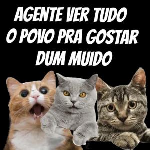 Agente ver tudo o povo pra gostar dum muido - getsticker.com