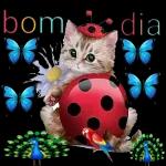 bom dia 0915