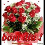 feliz dia dos namorados