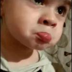 bebês 
