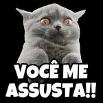 animais