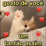 Você Eu