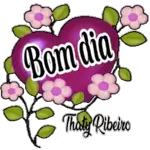 pacote de figurinhas