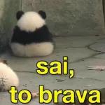 olha que mentira