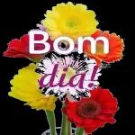 Bom Dia! UM BELÍSSIMO DOMINGO! PIC.COLLAGE 