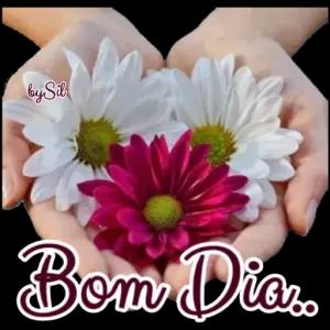 by Sil Bom Dia.. - getsticker.com