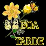 BOA TARDE 