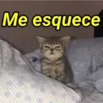 safadinha 