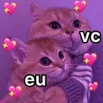 Gatos