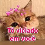 Minha vontade de transar com você parece obra do governo... Não acaba nunca!!! 