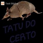 VAI DÁ CERTO OK