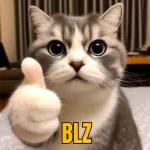 não NÃO não NÃO não não NÃO não não NÃO não