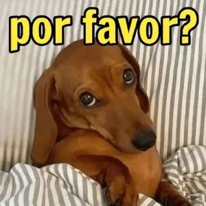 por favor? - getsticker.com