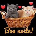Boa noite