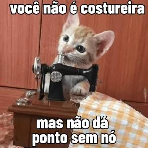 você não é costureira mas não dá ponto sem nó - getsticker.com
