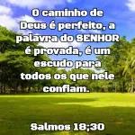 fevereiro 