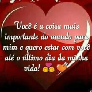 Você é a coisa mais importante do mundo para mim e quero estar com você até o último dia da minha vida! - getsticker.com