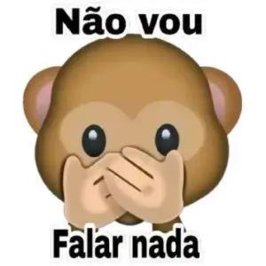 Não vou Falar nada - getsticker.com