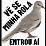 patrícia 