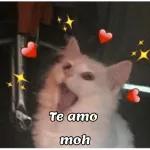 pra ti mi amor♥♥