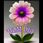 bom dia 
