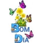 boom dia