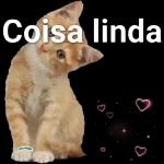 Que isso jovem?