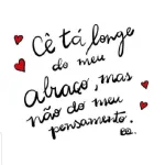apaixonada