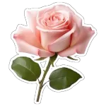 مرحبا