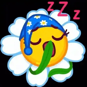 S9wqdi