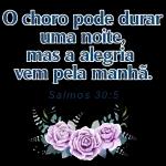 cheiro de  gratidão