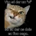 Vim só dar um "oi" se eu der os dois eu fico cego.