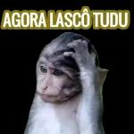 BOM DIA
TEM CAFE?