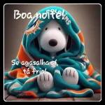 Boa noite! Tá gelado