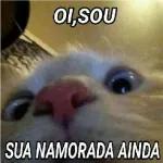 DESCULPA MO