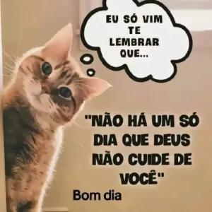 hdAfjO