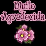 parabéns 